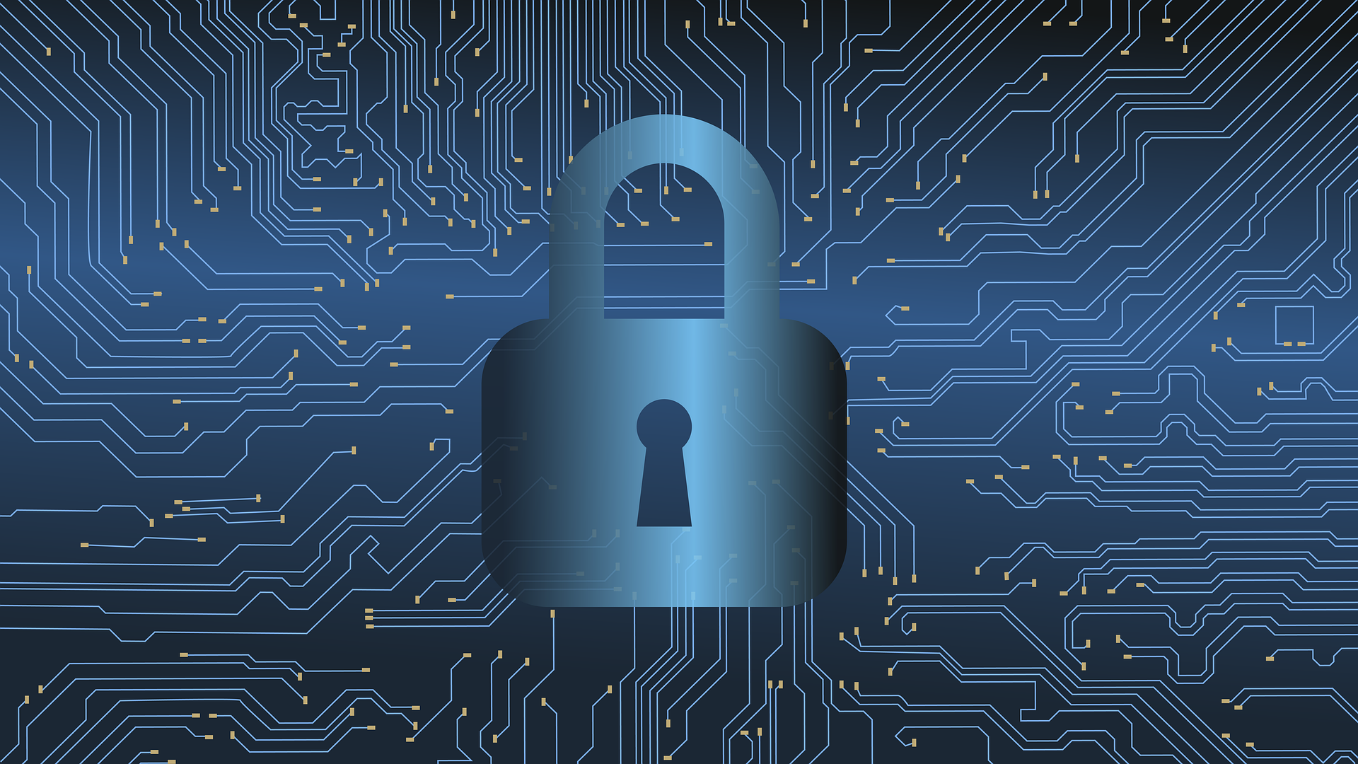Network Security and Defence